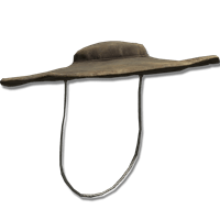 Dane's Hat
