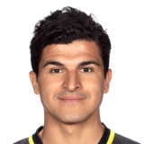 Tarik Elyounoussi