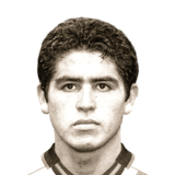 Juan Román Riquelme