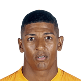 Patrick van Aanholt